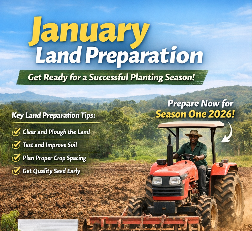 January Land Preparation: Laying the Foundation for a Successful Planting Season in Uganda - Cover Image