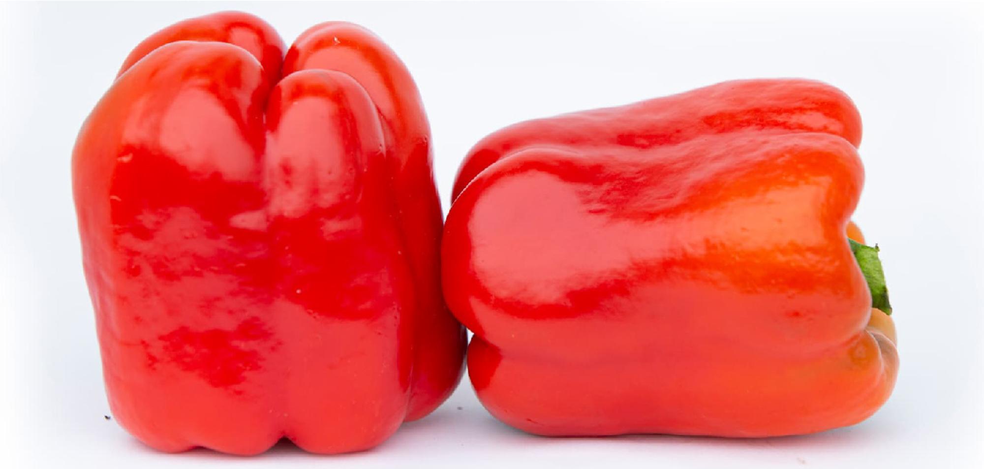 🌶 New Product On Board: Sweet Pepper Harva Red F1! - Cover Image