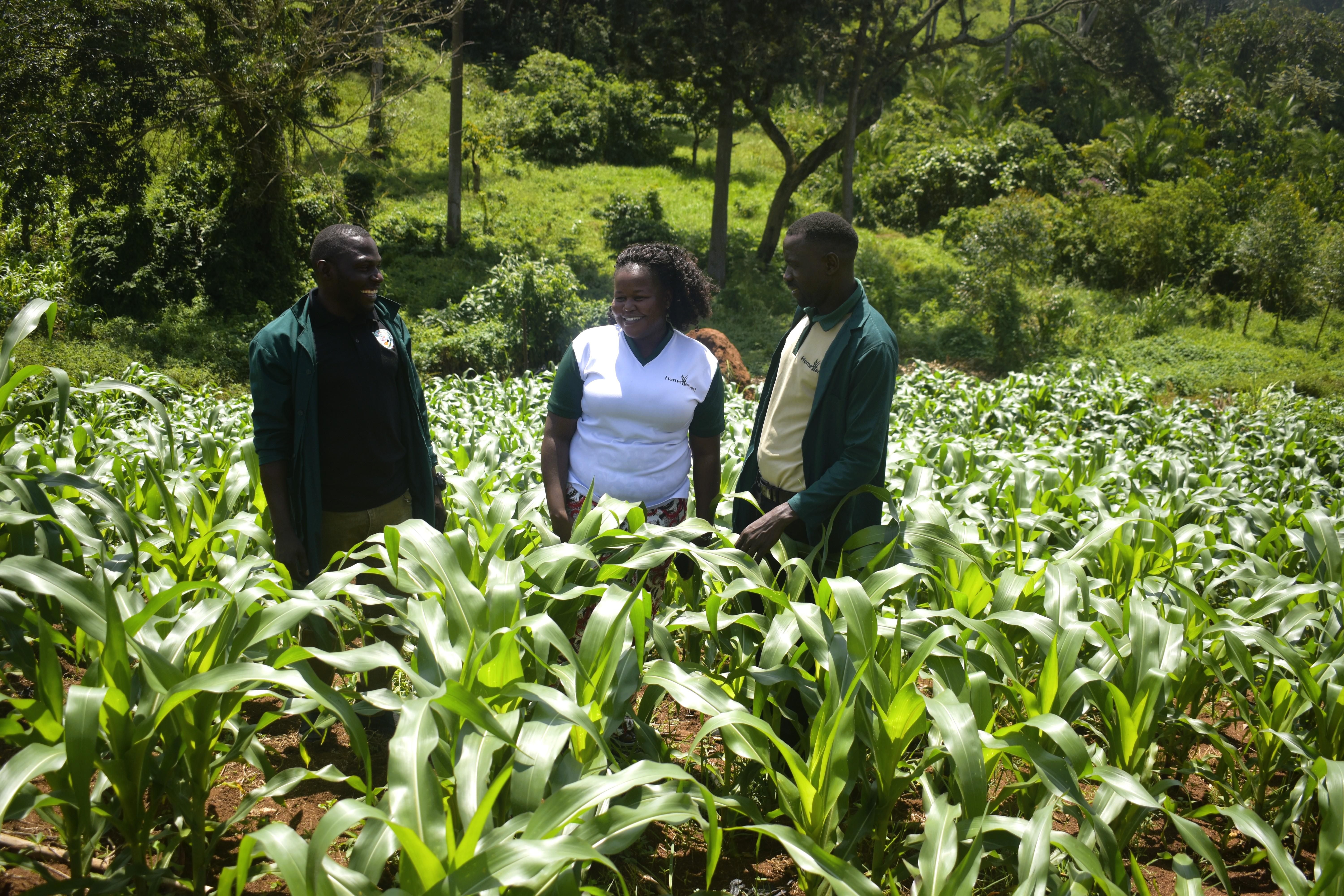 Driving Farmer-Centered Transformation in Western Uganda: Strengthening Support Systems and Celebrating Farmer Success - Cover Image