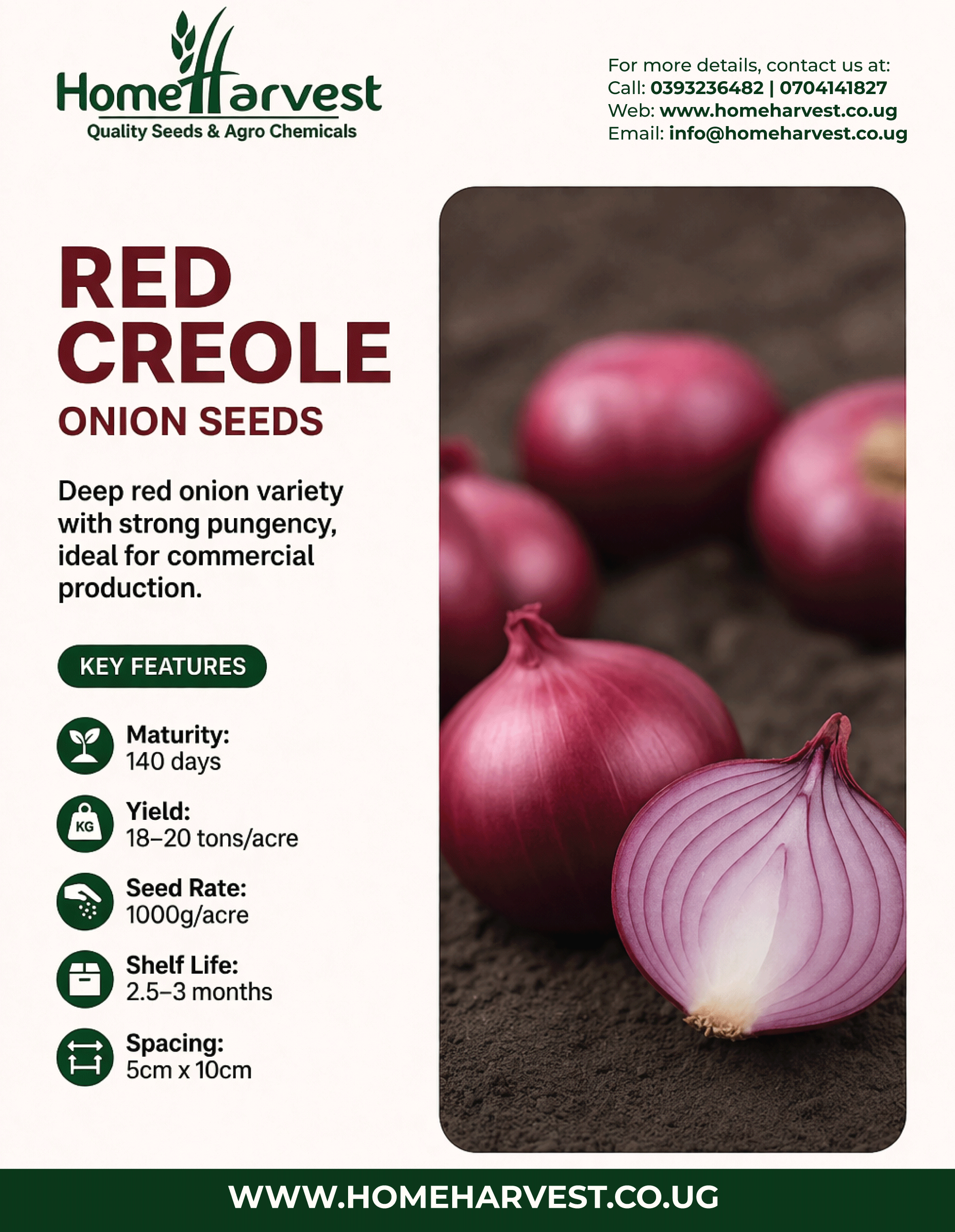 Home Harvest Guide: How to Grow Red Creole Onions Successfully in Uganda - Cover Image