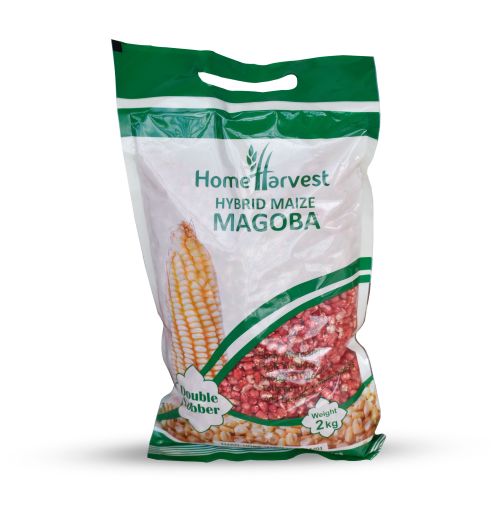 Revolutionize Your Farm with Magoba Hybrid Maize