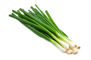 Bunching Onion