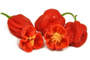 Habanero Red