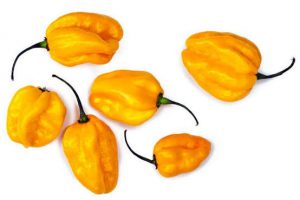 Habanero Yellow