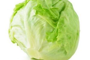 Lettuce