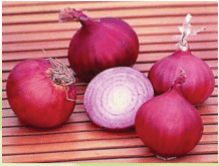 Red Creole Onion