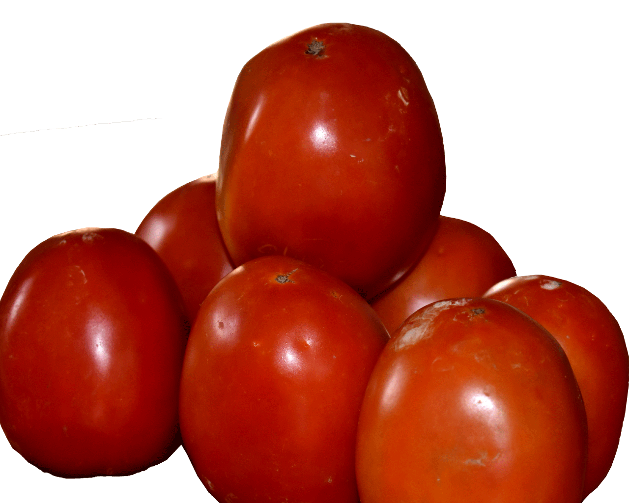 Read more about the article Hybrid Tomato Volos F1